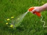 Chemical weed control