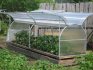 Removable roof greenhouse