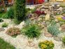 The use of alissum in landscape design