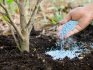 Tipy pro správné používání minerálních hnojiv