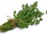Growing thyme (thyme)
