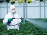 Pesticidy: popis chemické látky