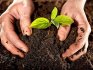 The concept of "living soil" - what is it