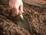 Preparing the soil for planting