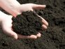 Soil disinfection