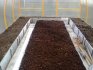 Greenhouse and soil preparation