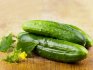 The best varieties of greenhouse cucumbers