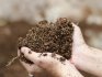 Alacsony talaj savasság: hogyan lehet növelni