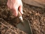 Preparing the soil and planting material for planting