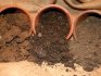 Soil and container for ornamental shrubs