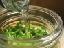 How to make horseradish leaf tincture?
