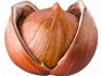 Useful properties of hazelnuts