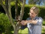 Types of tree pruning
