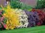 Užitečné tipy pro výzdobu vaší zahrady