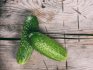 When cucumbers can be harmful to health
