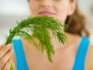 The benefits of dill for the body
