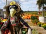Original ideas for creating a scarecrow