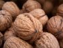 Features and methods of storing nuts in shell
