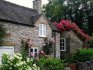 Photos of beautiful blooming summer cottages