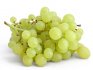 Grapes are berries or fruits