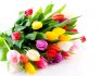 Péče o řezané tulipány