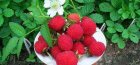 strawberry raspberry