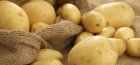 Povećanje prinosa krumpira