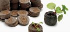 How to plant in peat tablets
