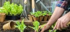 Biodinamičko uzgoj