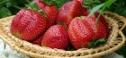 strawberry care video