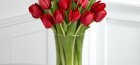 hogyan kell tárolni a vágott tulipánokat