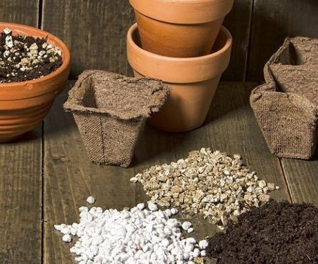 Perlit și vermiculit - care este diferența?