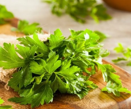 Properties and uses of parsley