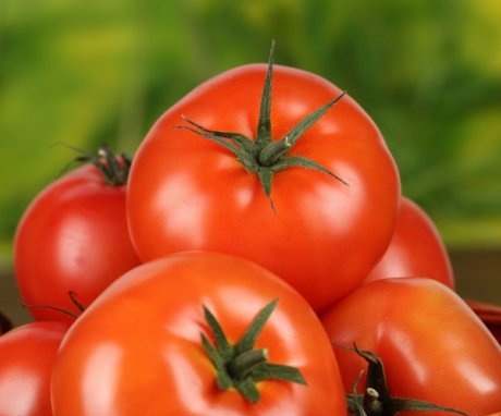 Recenzii pentru tomate Orlets F1
