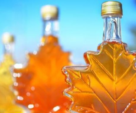 The use of sugar maple
