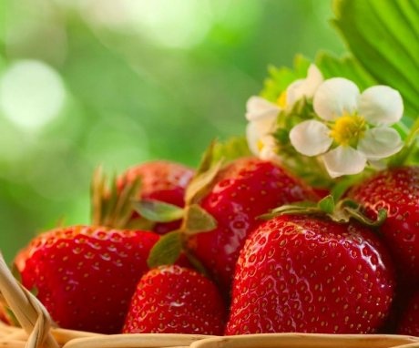 Benefits of growing strawberry seeds