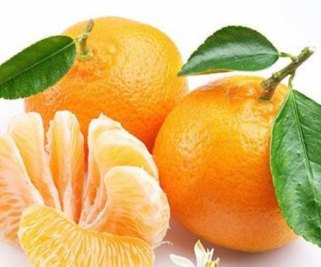 Alte modalități de propagare a arborelui de mandarină