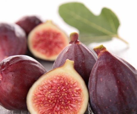 Description of figs