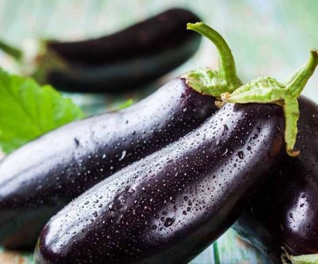 Useful properties of eggplant