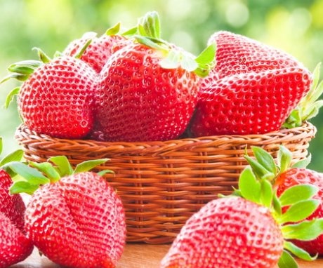 Benefits of growing berries by seeds