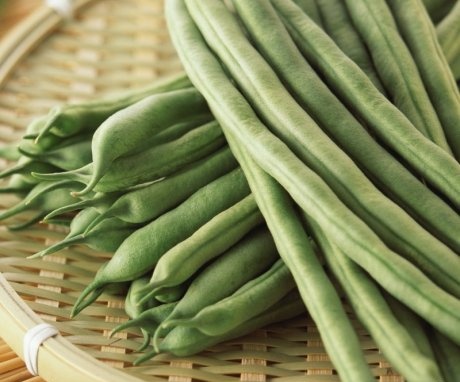 The best green beans to grow