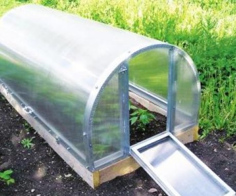 Basic requirements for a mini-greenhouse on the site