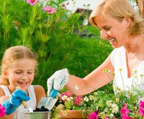 Rules for decorating flower beds in the country