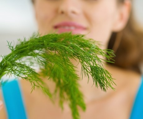 The composition and useful properties of dill