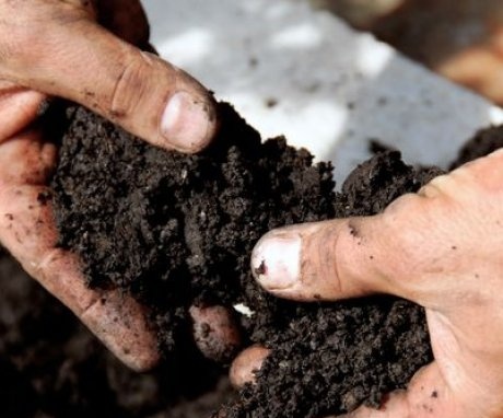 الطريقة البيولوجية لتطهير التربة