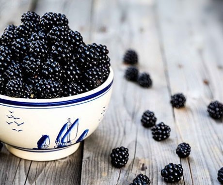 A little about the beneficial properties of blackberries