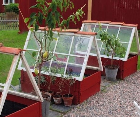 How to make a greenhouse box?