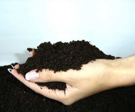 Metode de dezinfectare a solului