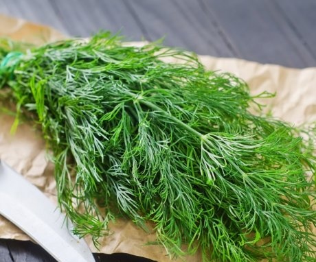 The use of dill in cooking