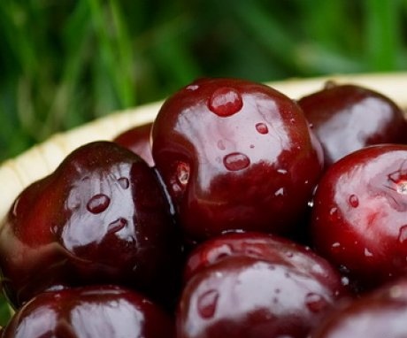 Useful properties of cherries